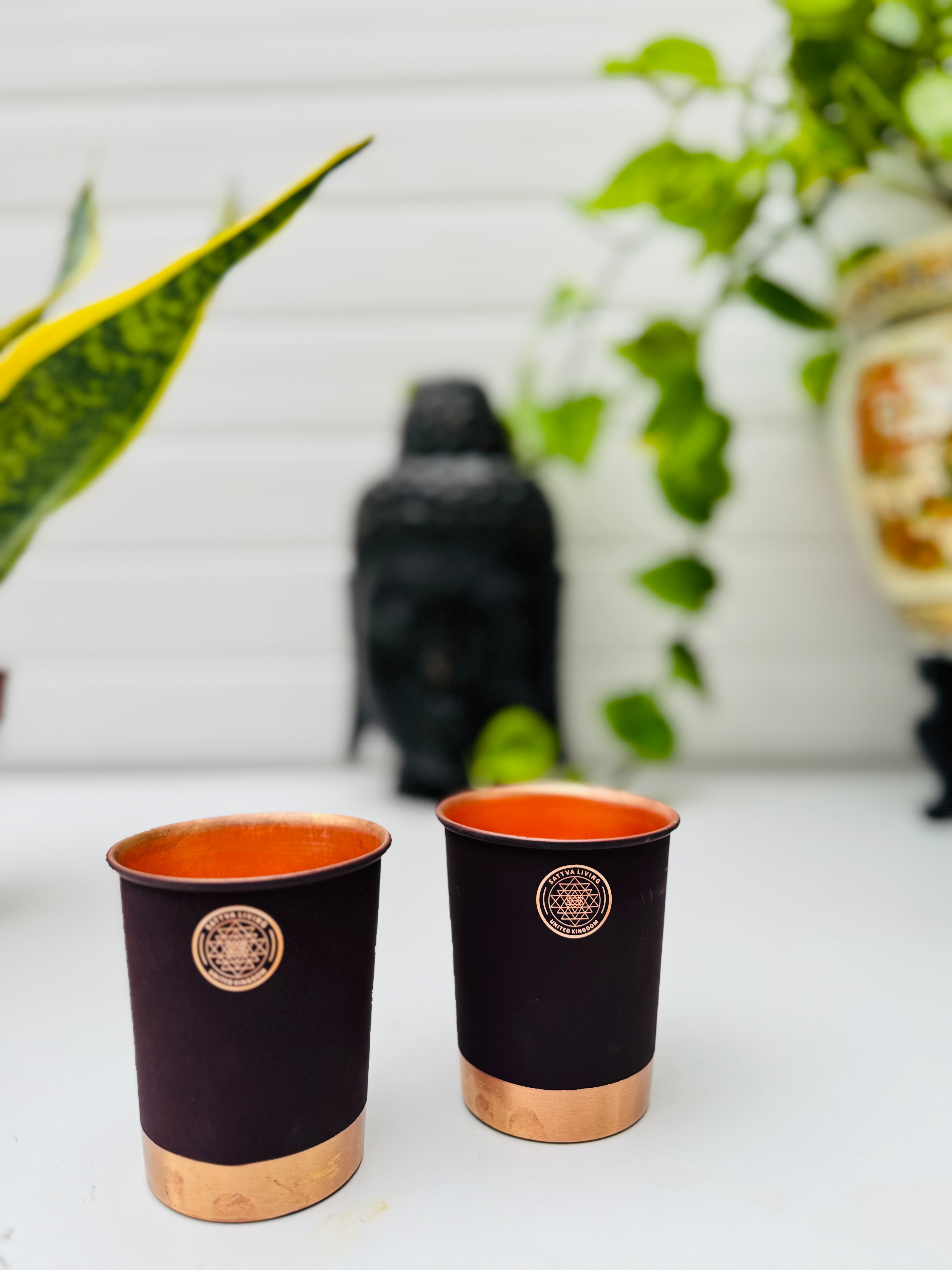 Copper Glass- Dust Cherry - Set of 2